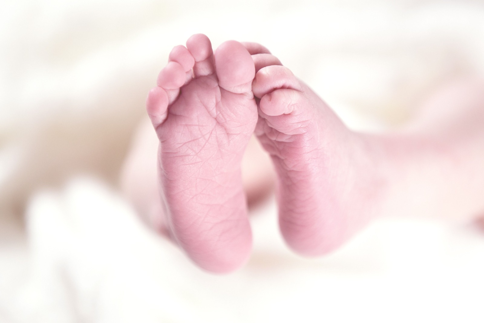 babylab