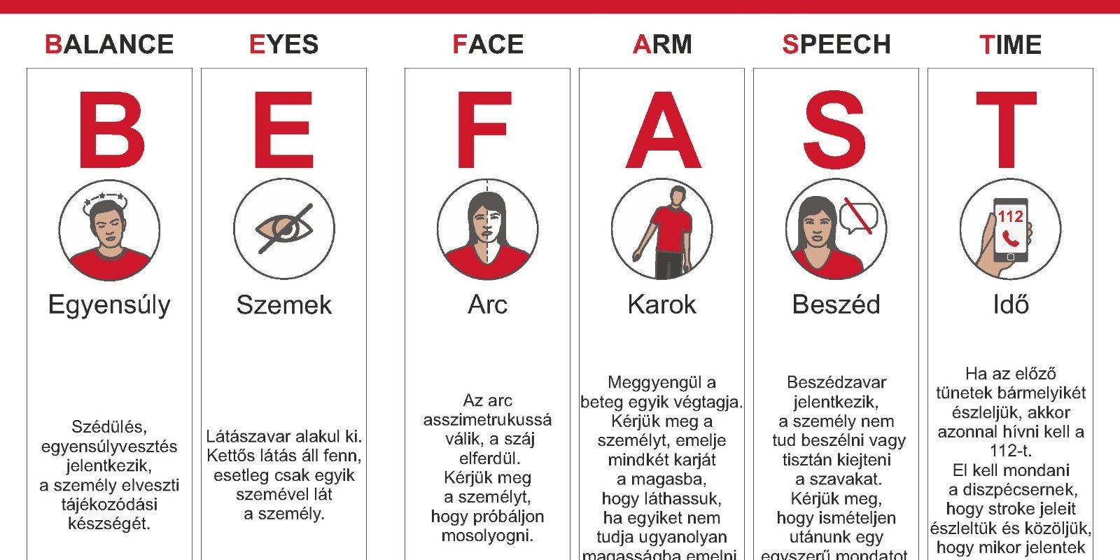 WhatsApp Image 2024-08-09 at 11.17.1117 AM